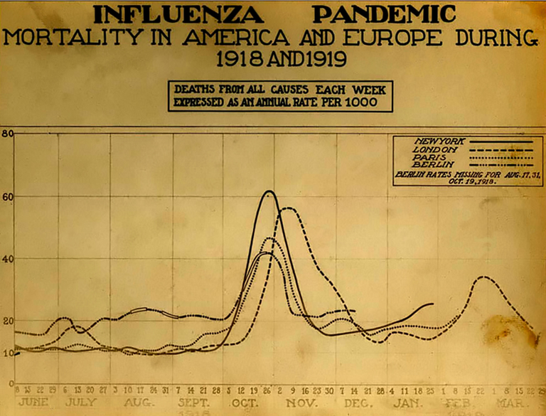 spanish flu chart png landesbildungsserver baden württemberg