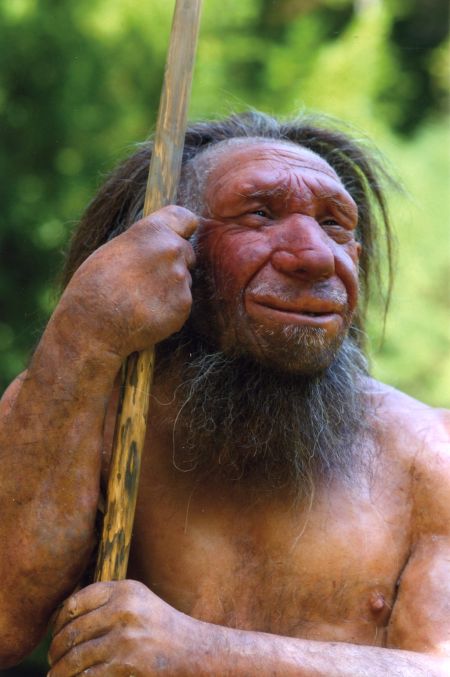 Neanderthaler