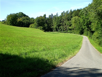 Eingang zur Waldschlucht beim Schießmauernfeld