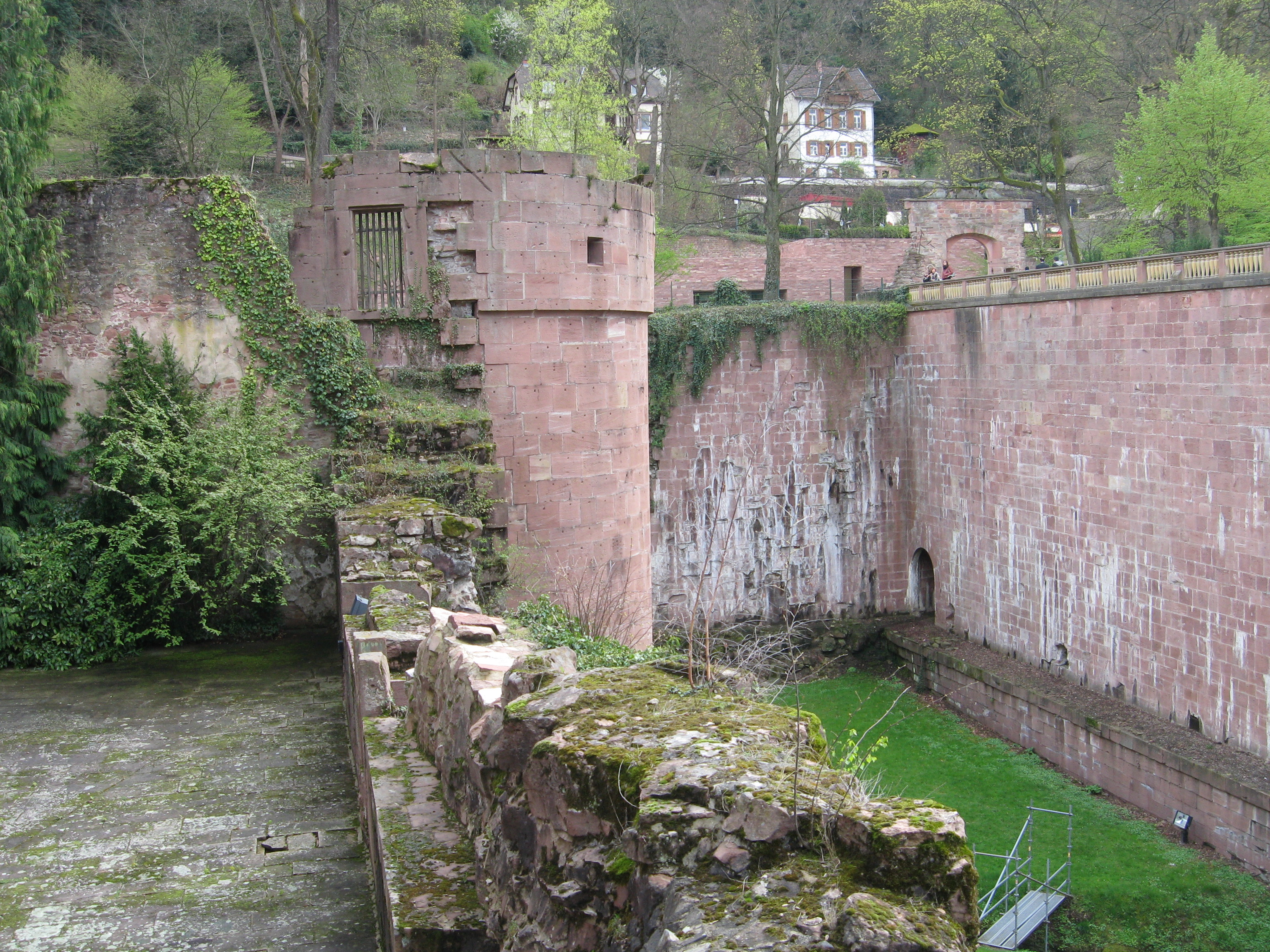 B12.seltenleer, graben und westwall.jpg