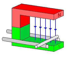 indani4.gif