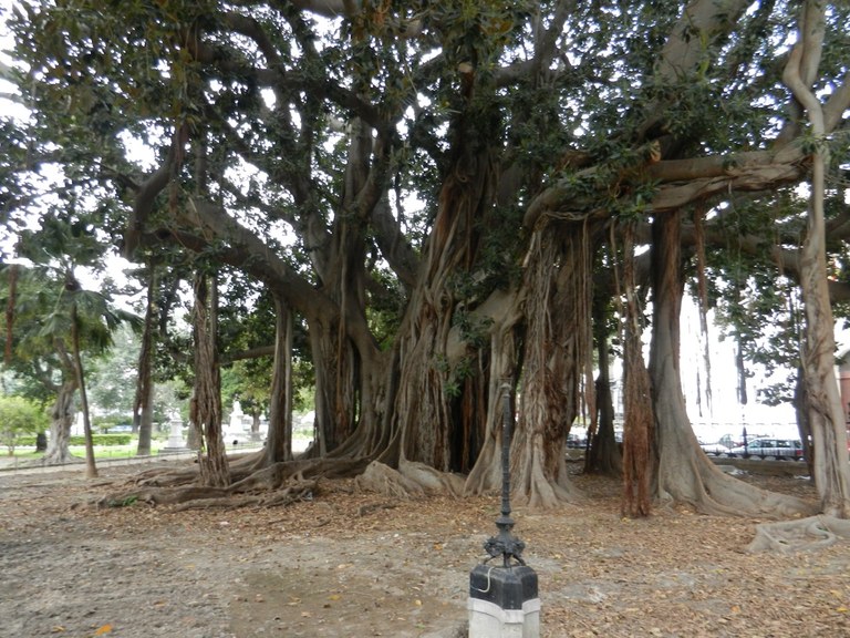 Palermo, Orto botanico