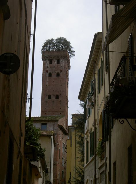 La Torre Guinigi