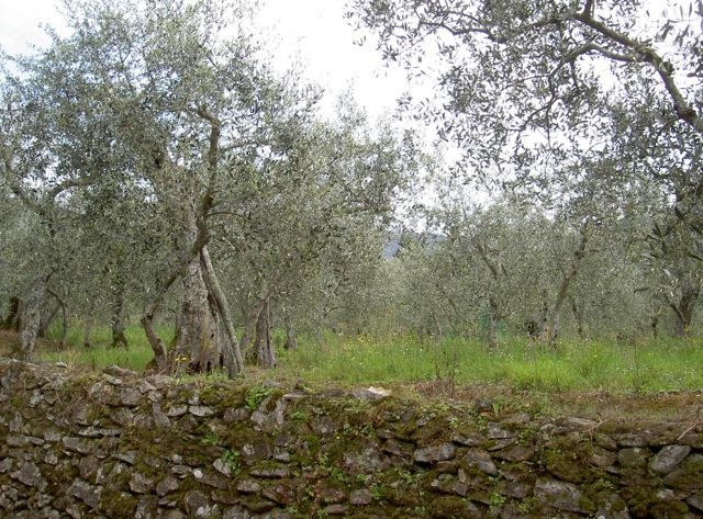 Paesaggio toscano