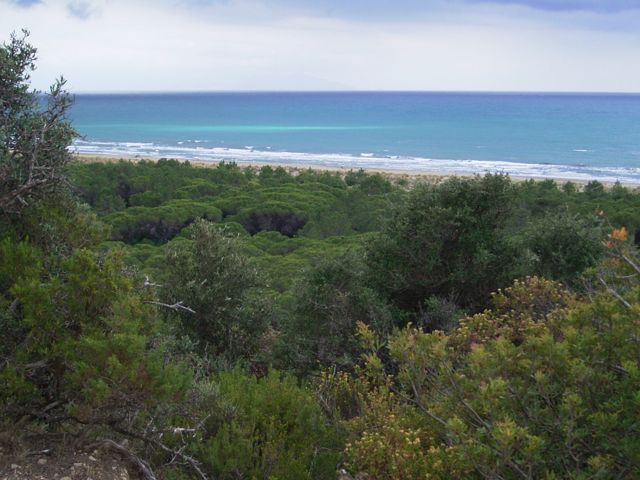 Parco naturale della Maremma