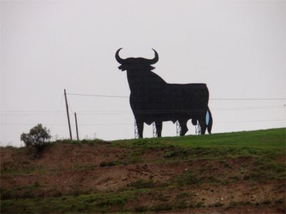 Un toro negro distinto