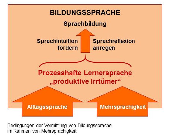 Didaktische_Grundlagen_Bildungssprache_Mehrsprachigkeit.jpg ...